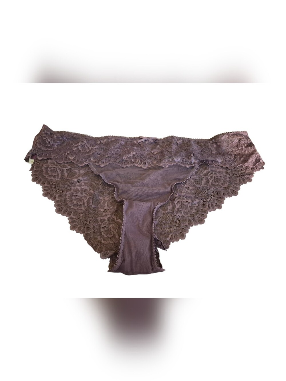 Lace Bikini Panty in Purple - Women's Intimates Size 2X
